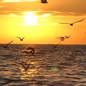 Meet your Posher, Fran